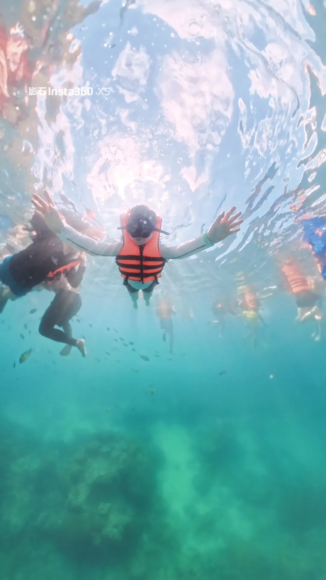 جزر فاي فاي Scenery 1